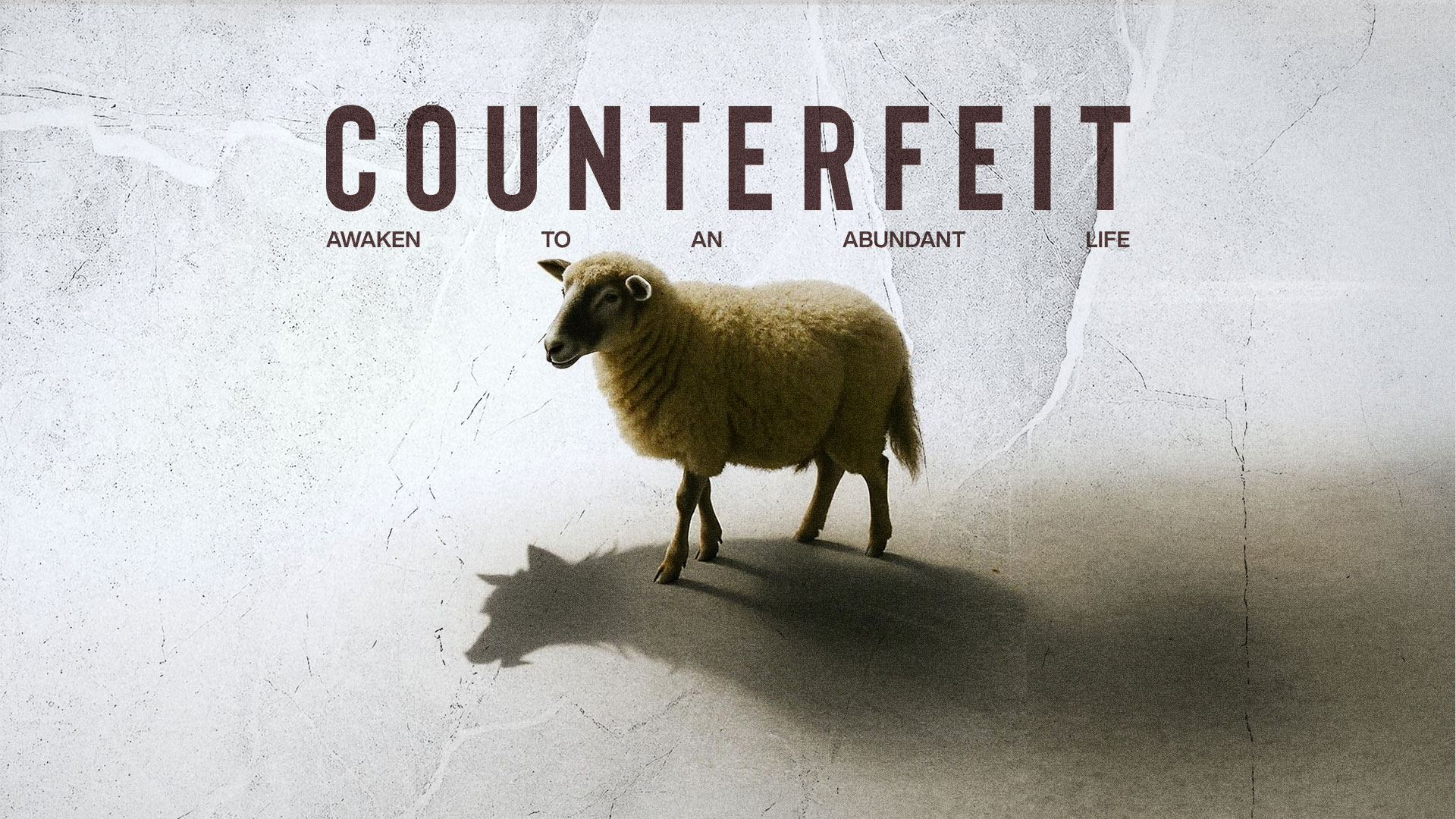 Counterfeit